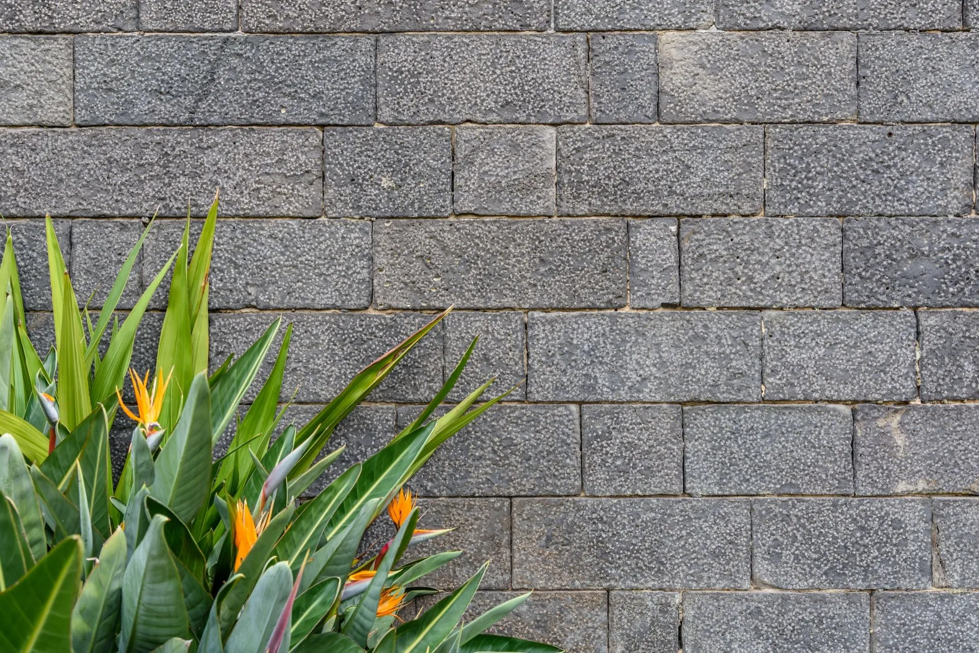 Transform Your Yard: 10 Captivating Retaining Wall Ideas